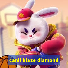 canil blaze diamond